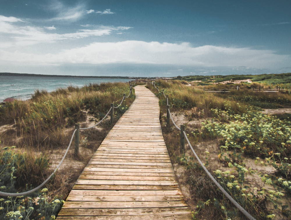 chemin vers un bord de mer